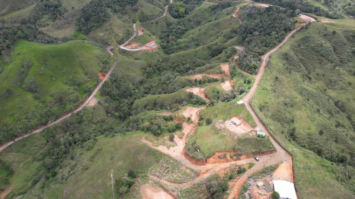 Detalle de lote individual